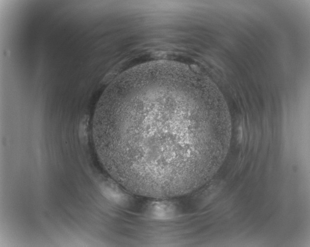 X0000070410275200606121337