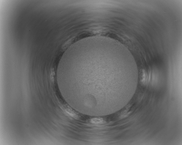 X0000070410279200606121338