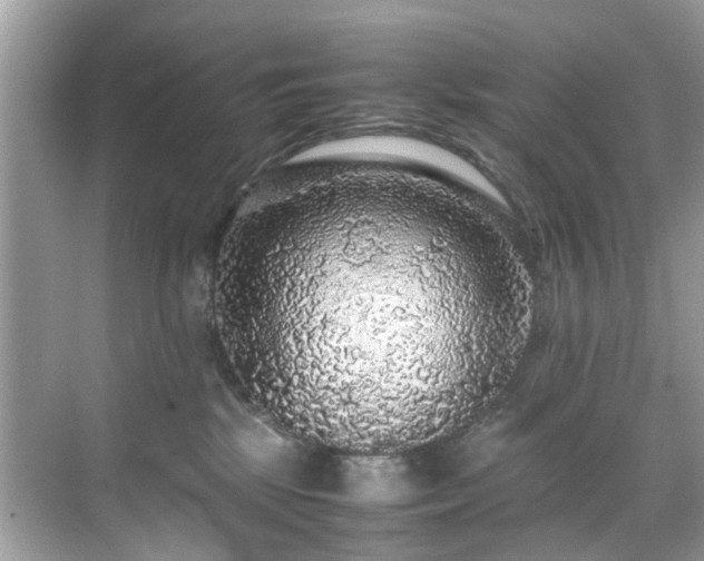 X0000070410281200606121338