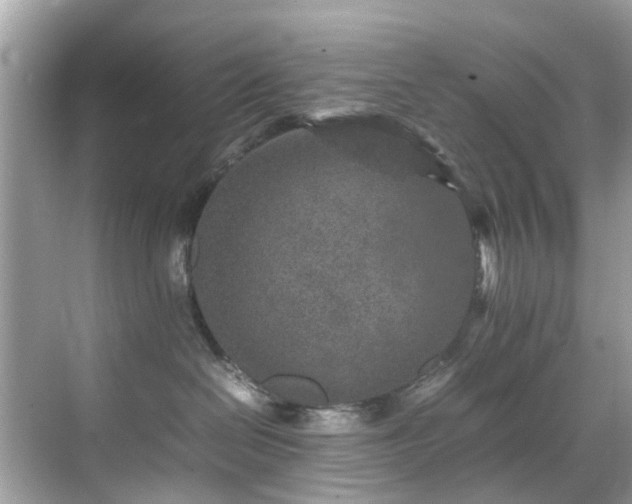 X0000070410286200606121338