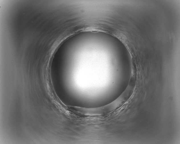 X0000070410289200606121337