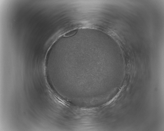 X0000070410290200606121337