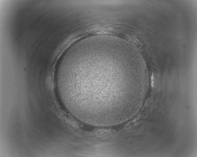 X0000070410291200606121337