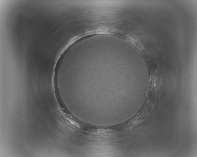 X0000070410292200606121337