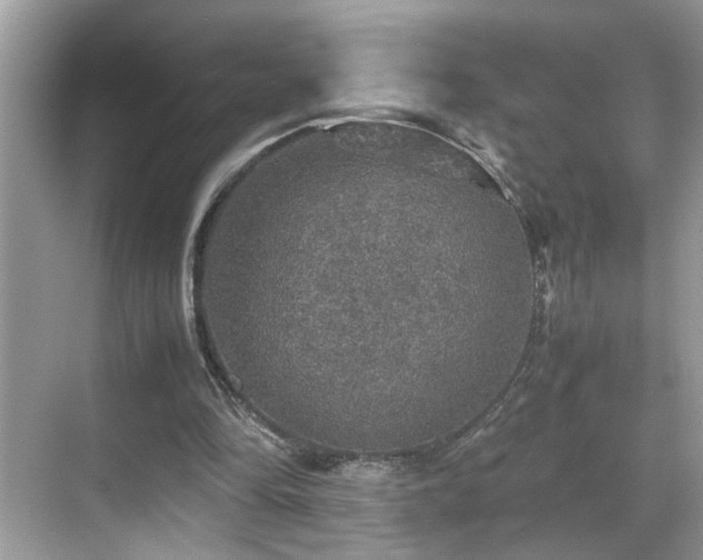 X0000070410294200606121337