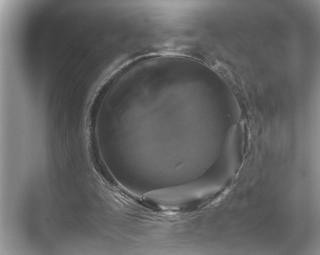 X0000070410295200606121337