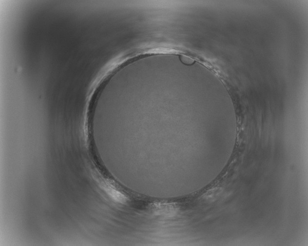 X0000070410296200606121337