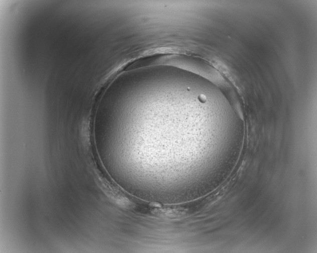 X0000070410297200606121337