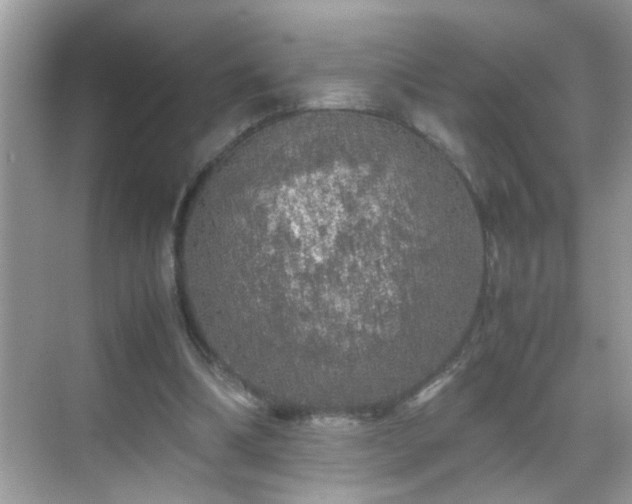 X0000070410298200606121337