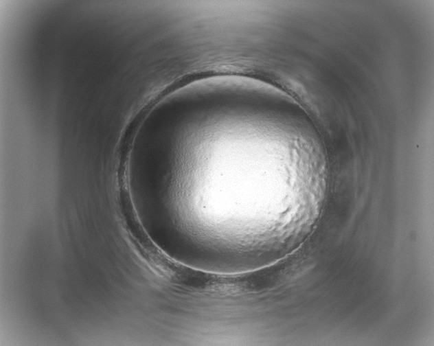 X0000070410299200606121337