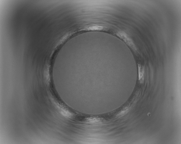 X0000070410300200606121337