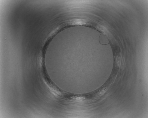 X0000070410304200606121337