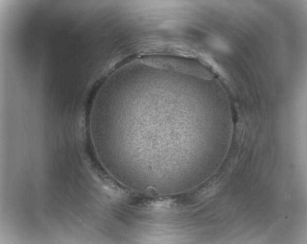 X0000070410306200606121337