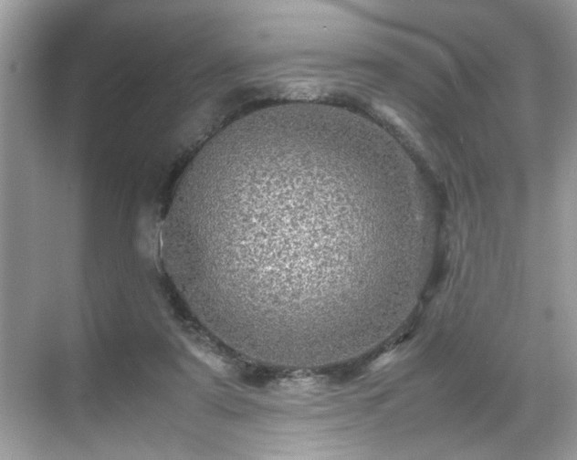 X0000070410307200606121337