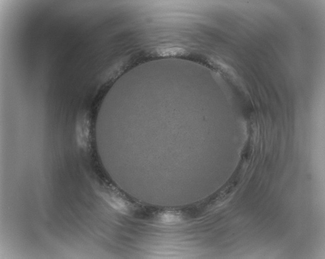 X0000070410308200606121337