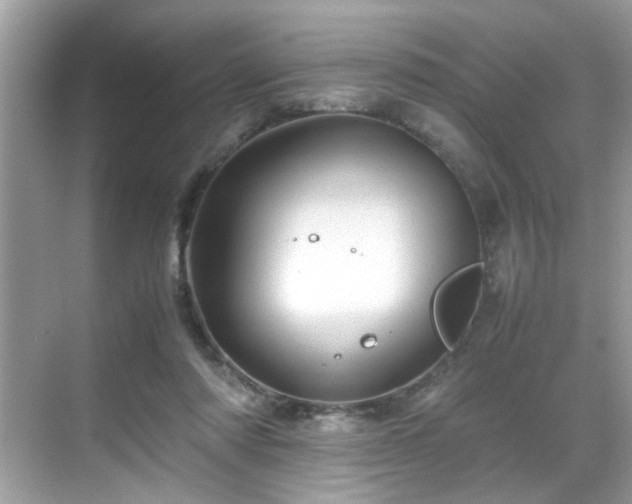 X0000070410310200606121337