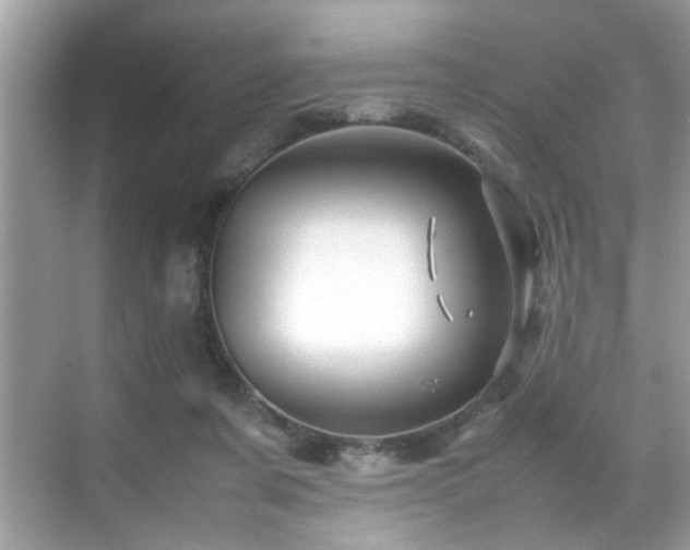 X0000070410311200606121337