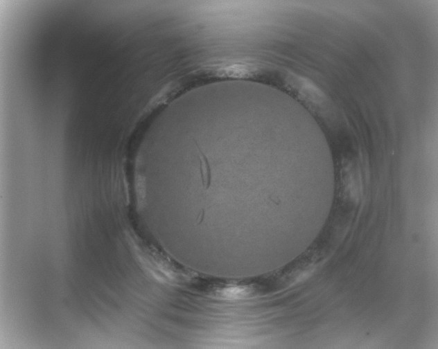 X0000070410312200606121337