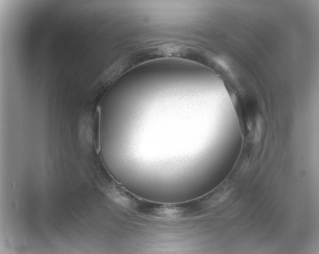 X0000070410313200606121336