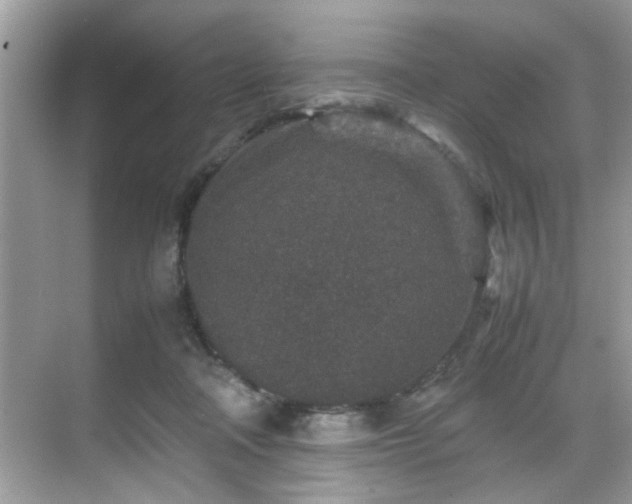 X0000070410314200606121336