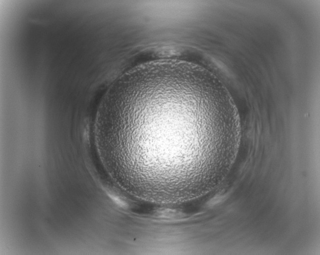 X0000070410315200606121336