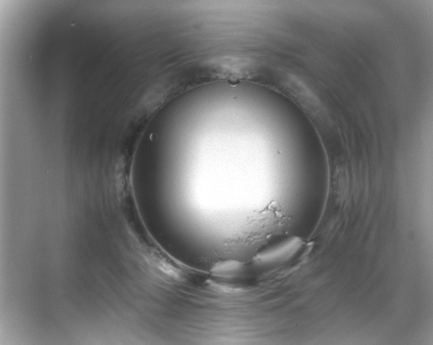 X0000070410318200606121336