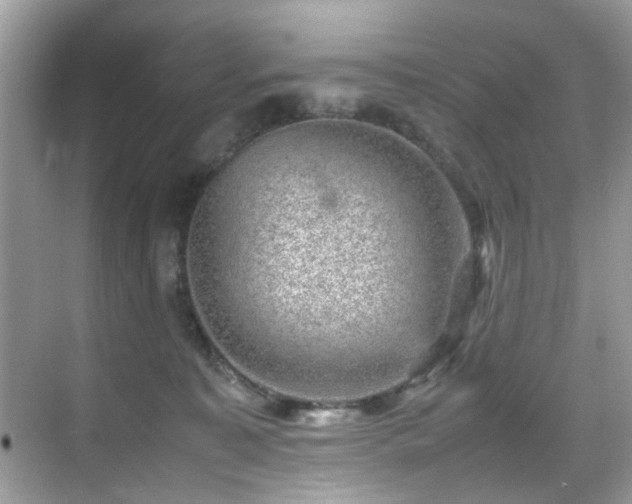 X0000070410323200606121336