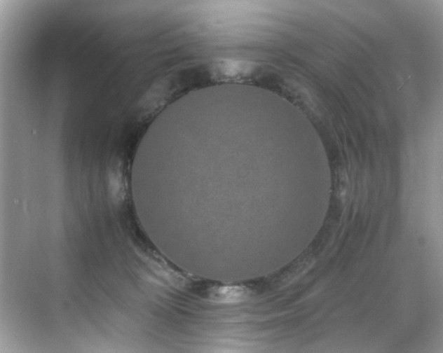 X0000070410324200606121336