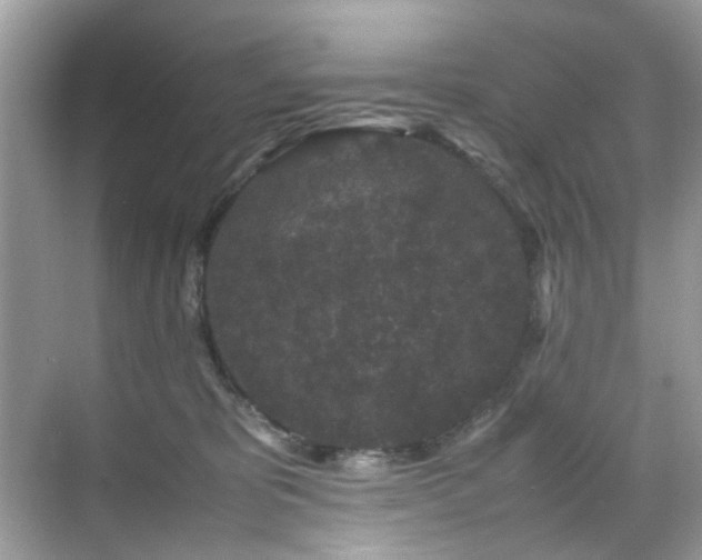 X0000070410325200606121336