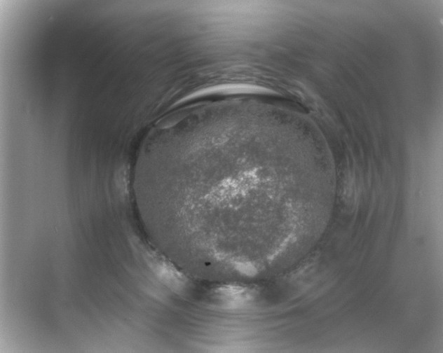 X0000070410326200606121336