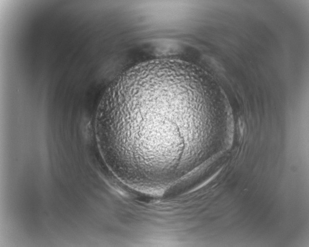 X0000070410327200606121336