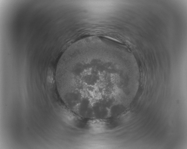 X0000070410331200606121336