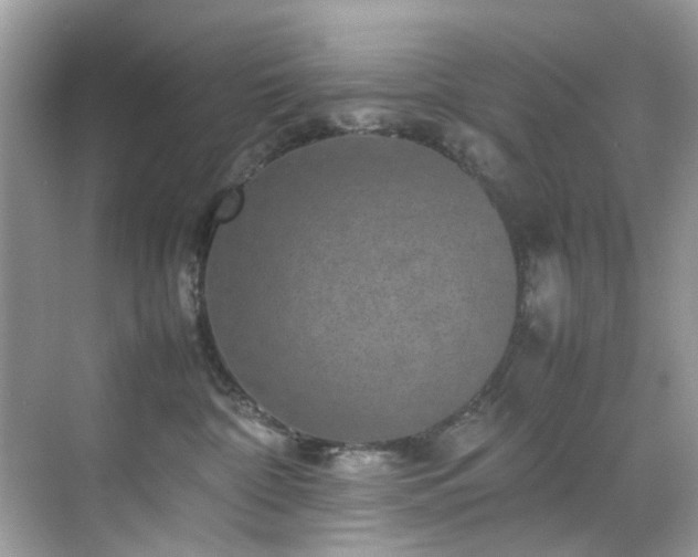 X0000070410332200606121336