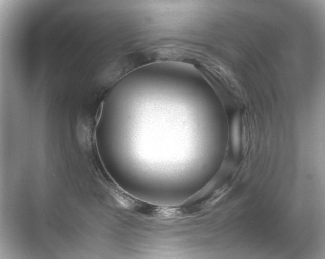 X0000070410333200606121336