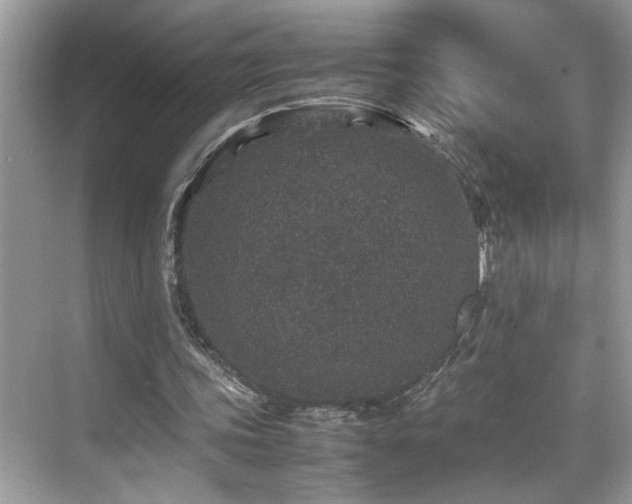 X0000070410339200606121335