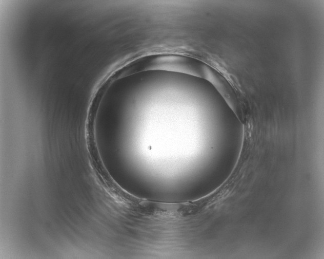 X0000070410340200606121335