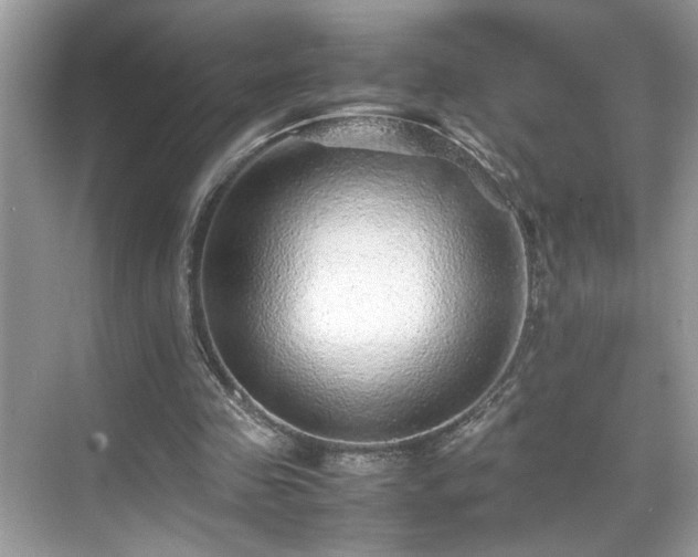 X0000070410341200606121335