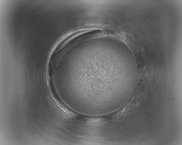 X0000070410342200606121335