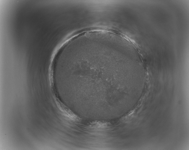 X0000070410343200606121335