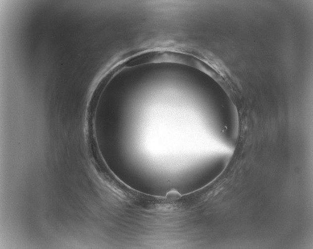 X0000070410344200606121335