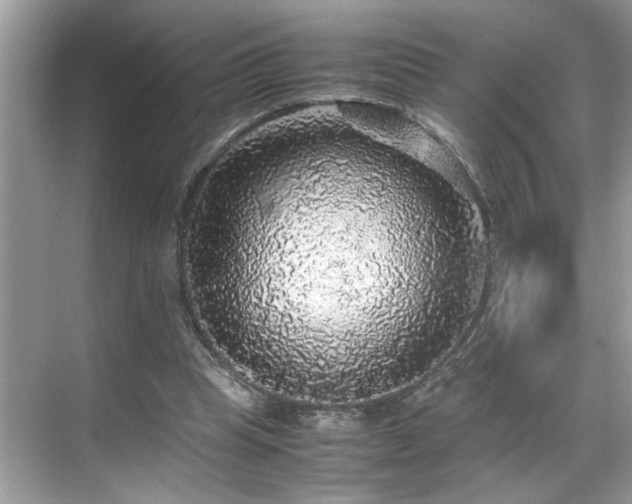 X0000070410345200606121335