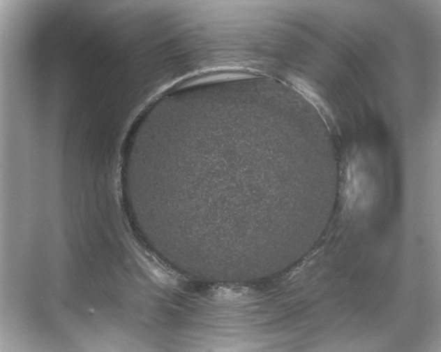 X0000070410346200606121335