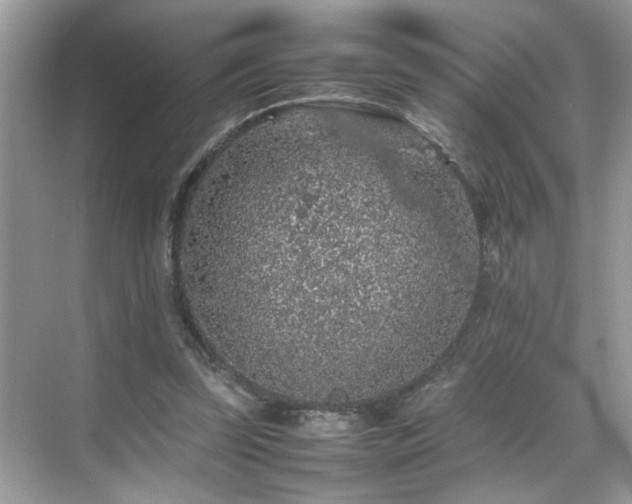 X0000070410347200606121335