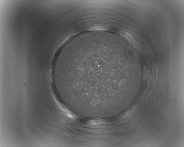 X0000070410351200606121336