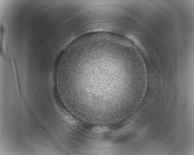 X0000070410354200606121336