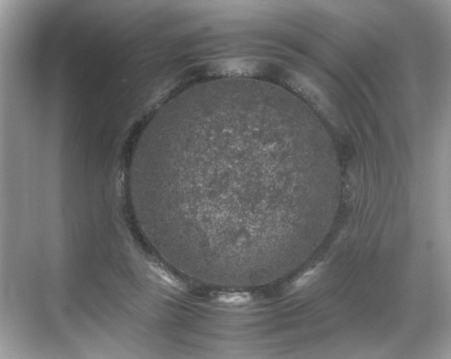 X0000070410355200606121336