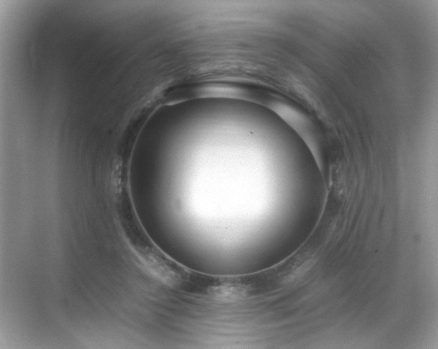 X0000070410356200606121336