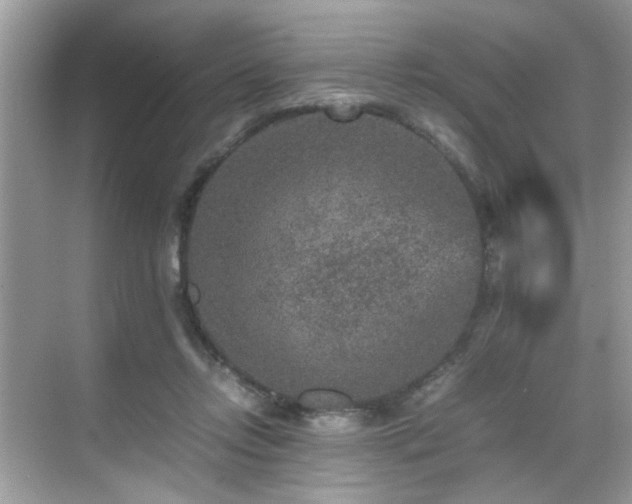 X0000070410358200606121336