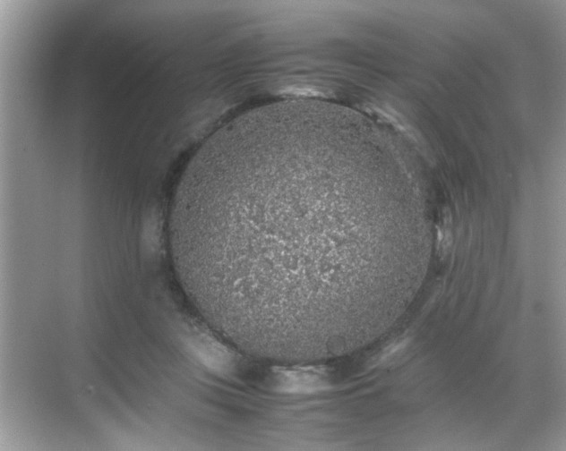 X0000070410359200606121336