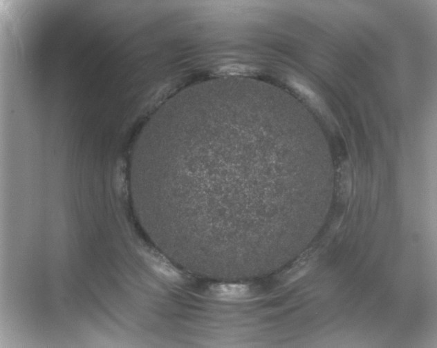 X0000070410361200606121336